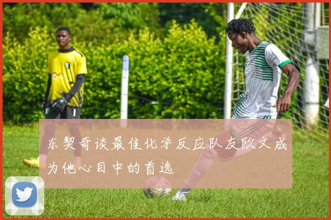 东契奇谈最佳化学反应队友欧文成为他心目中的首选