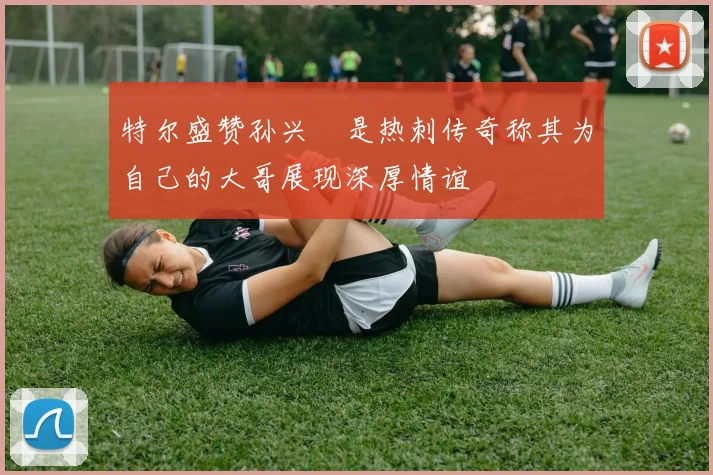 特尔盛赞孙兴慜是热刺传奇称其为自己的大哥展现深厚情谊